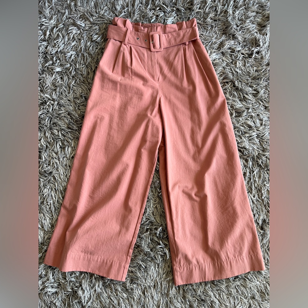 Zara High Waist Paper Bag Wide Leg Pant with Belt Blush Sz S